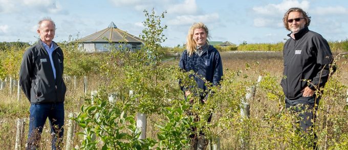 18,000 trees and counting at Abberton